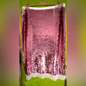 Beautiful Pink Sequence Skirt